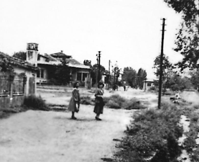 19-mayis-caddesi-1950