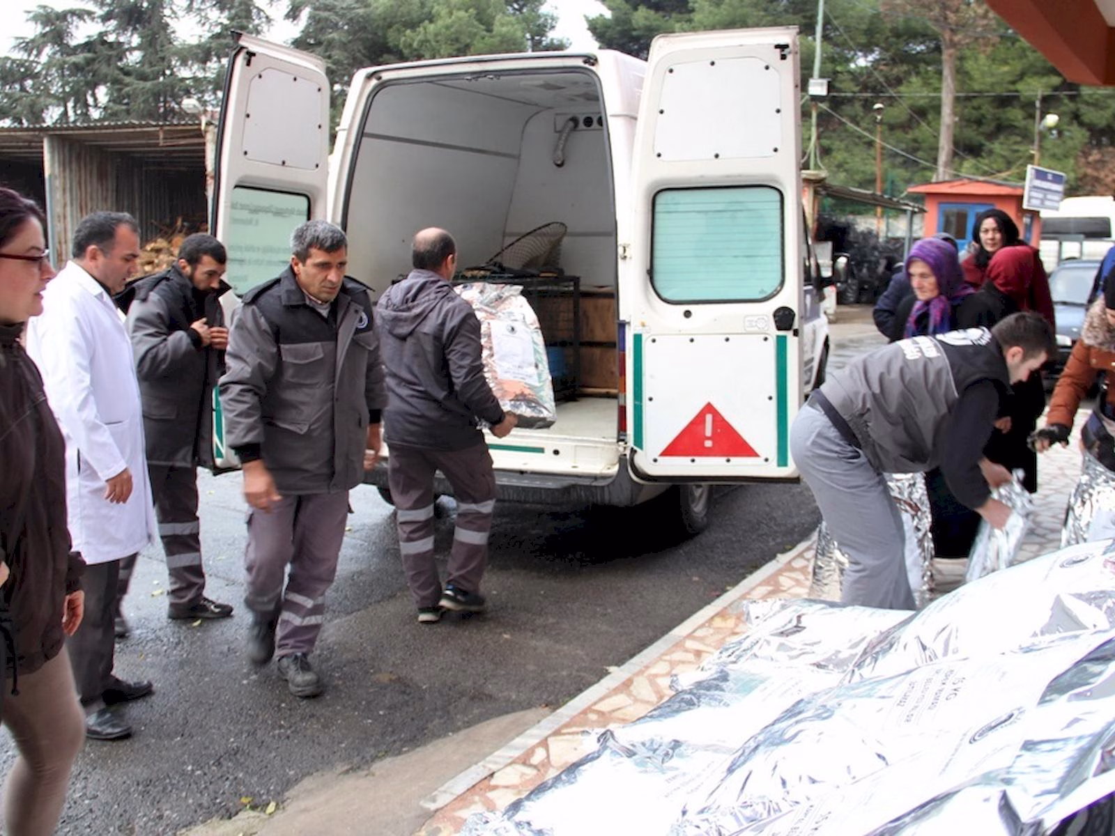 Belediyeden sokak hayvanlarına ücretsiz mama görsel.