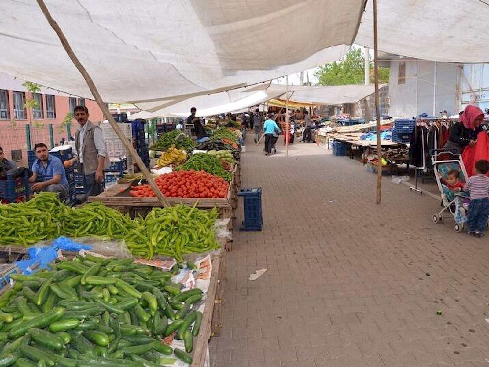 Kartal Cevizli pazarı hangi gün görsel.