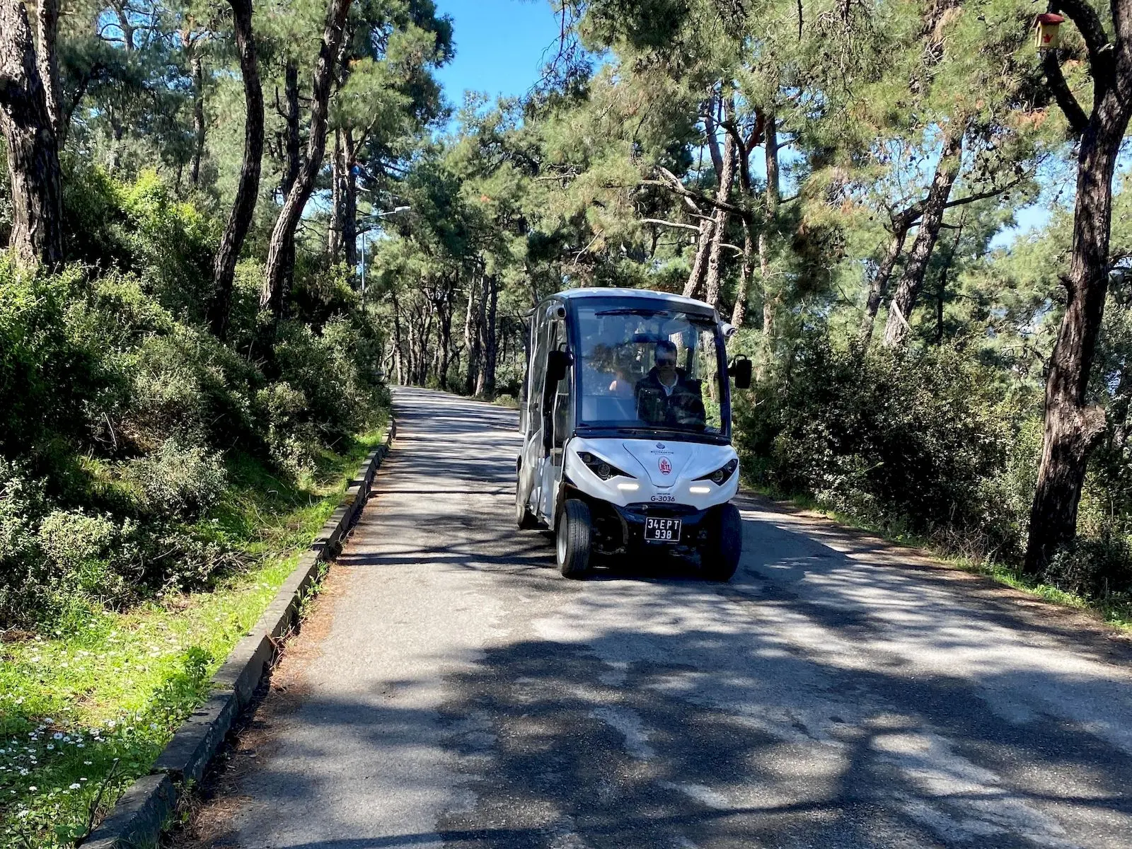 Adakart nasıl alınır, Adakart başvurusu görsel.