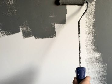 Boya badana hangi aylarda yapılır? görsel.