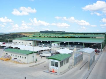 İzmit kurban satış ve kesim görsel.