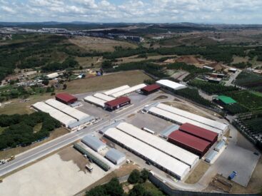 Pendik’te 2026 yılı kurban satış görsel.