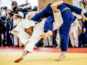 Imagen de ¿Cuales son las artes marciales.