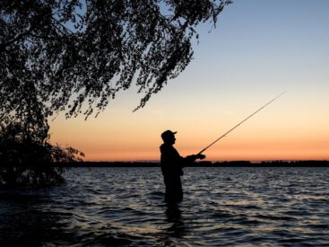 Imagen de ¿Cómo pescar de noche?.