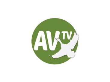 AV TV frekansı nedir, nasıl görsel.