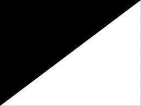9 bandera blanca y negra