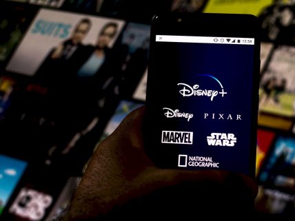 Disney Plus’ta izlenecek en iyi görsel.