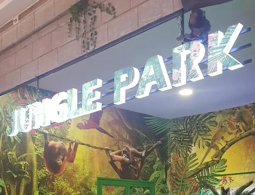jungle-park