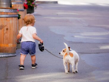 Çocukları seven köpek türleri görsel.