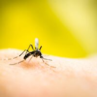 sivrisinek-isirigi