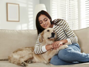 Köpeğim beni unutur mu? görsel.