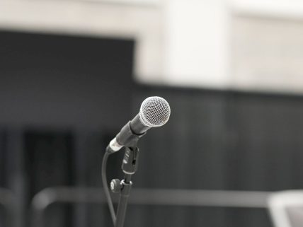 Dinamik mikrofon nedir? görsel.