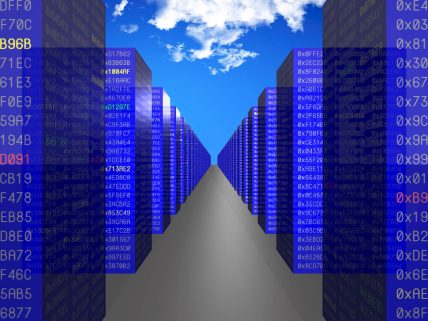 Web barındırma hizmeti nedir? görsel.
