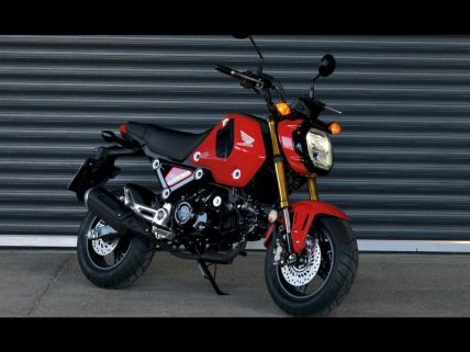 Honda MSX125 Grom motosiklet özellikleri görsel.
