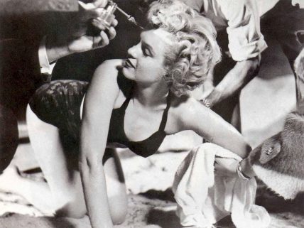 Marylyn Monroe filmleri listesi görsel.