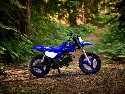 Yamaha PW50 motosiklet özellikleri ve görsel.