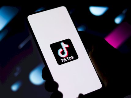 TikTok video watermark removar app image.