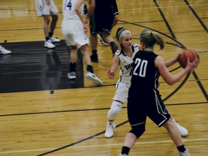 Imagen de ¿Qué es la inteligencia juego.