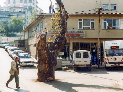 Kartal Tansa Market – Tansa’nın görsel.