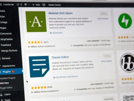 WordPress için hosting nasıl bulunur? görsel.