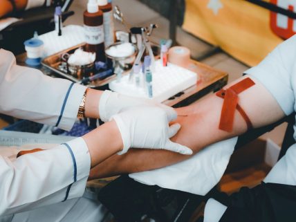 How many liters of blood image.