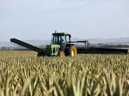 Agrotech ne demek? görsel.