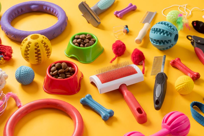 How to Safely Clean Different Dog Toys