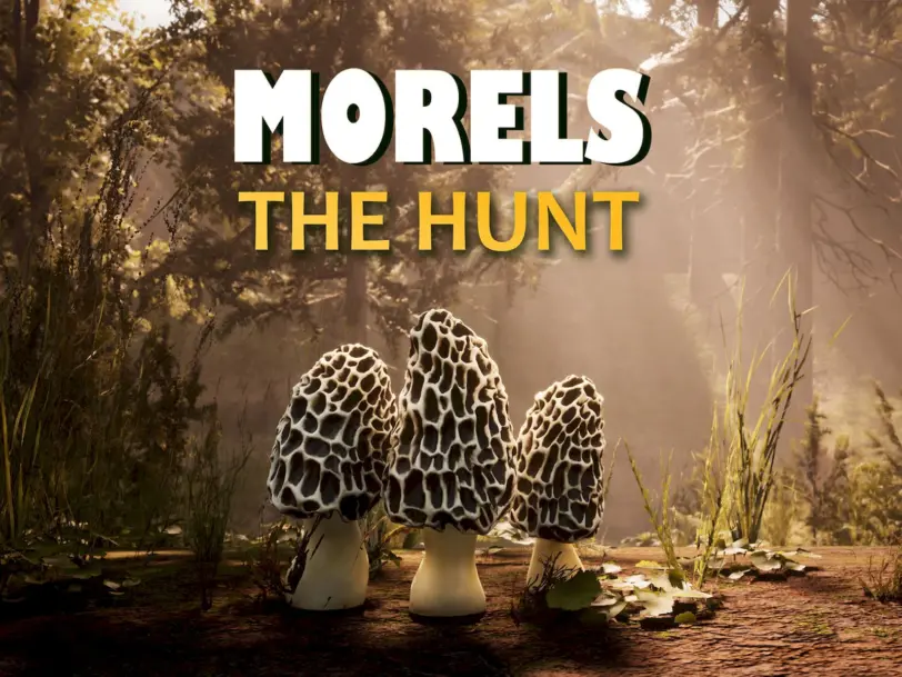 morels-the-hunt-2-inceleme