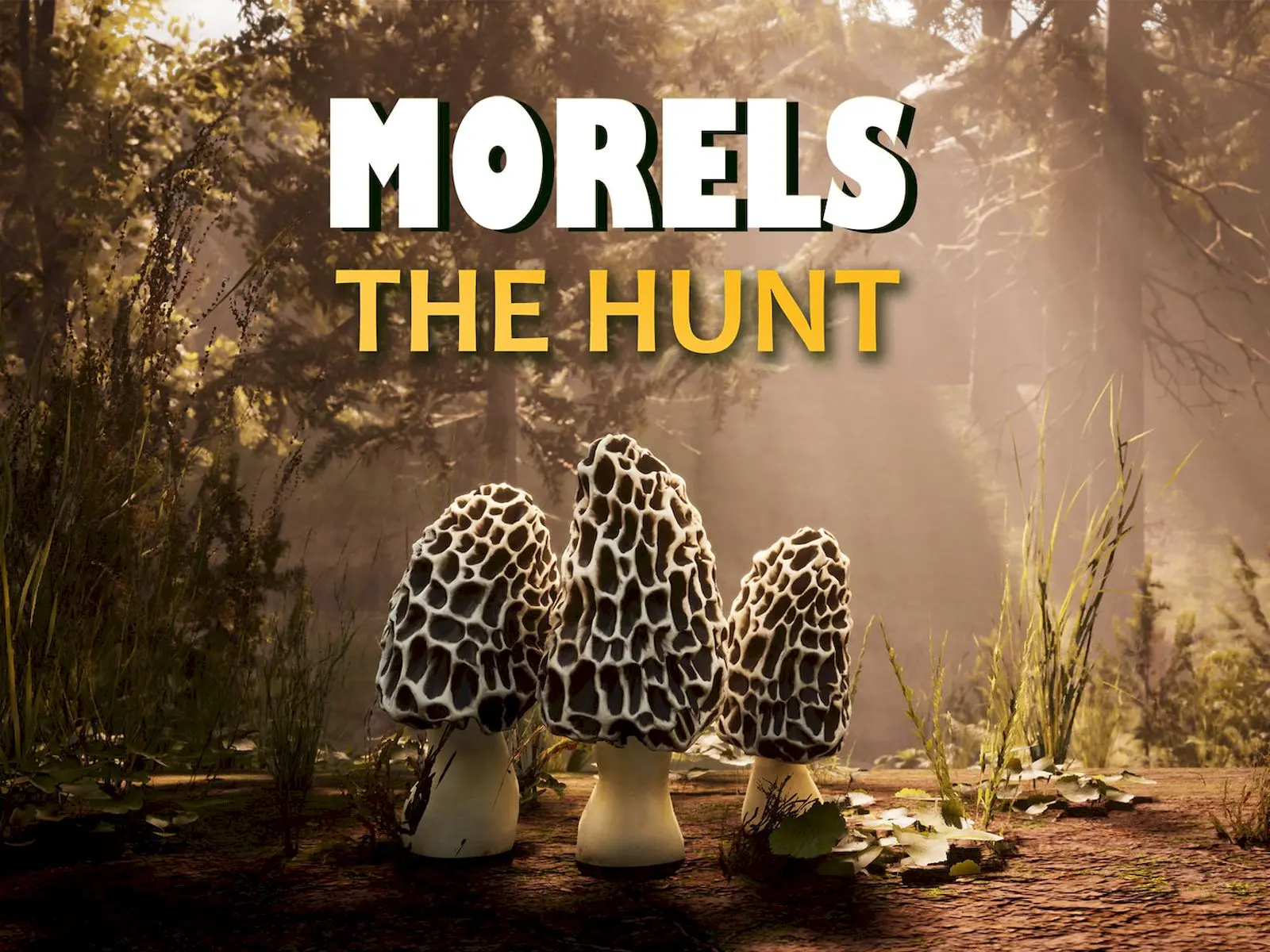 Morels: The Hunt 2 inceleme görsel.